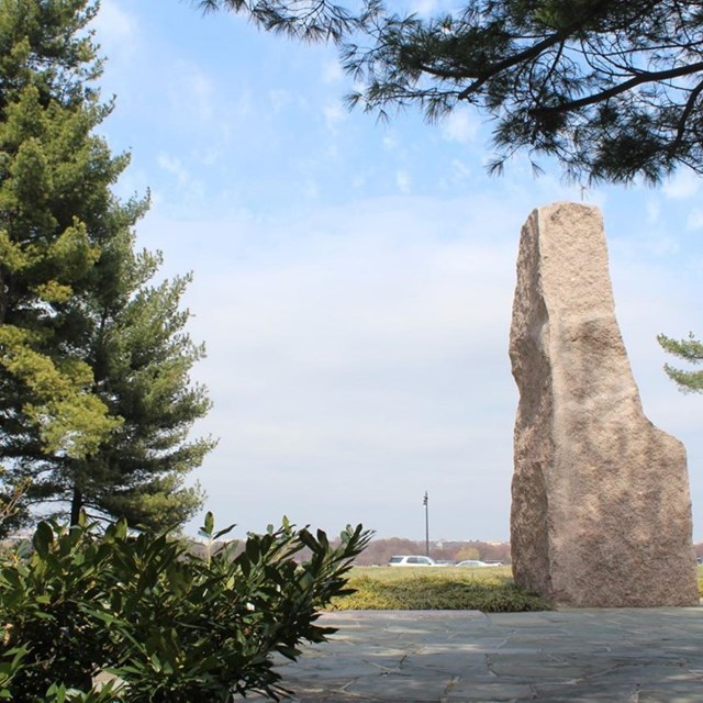 LBJ Memorial Grove