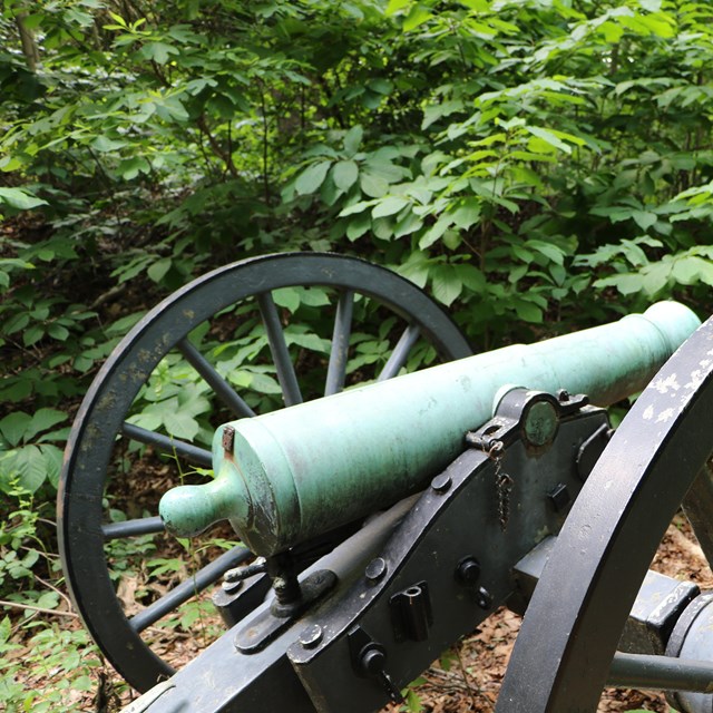 A cannon in the woods.