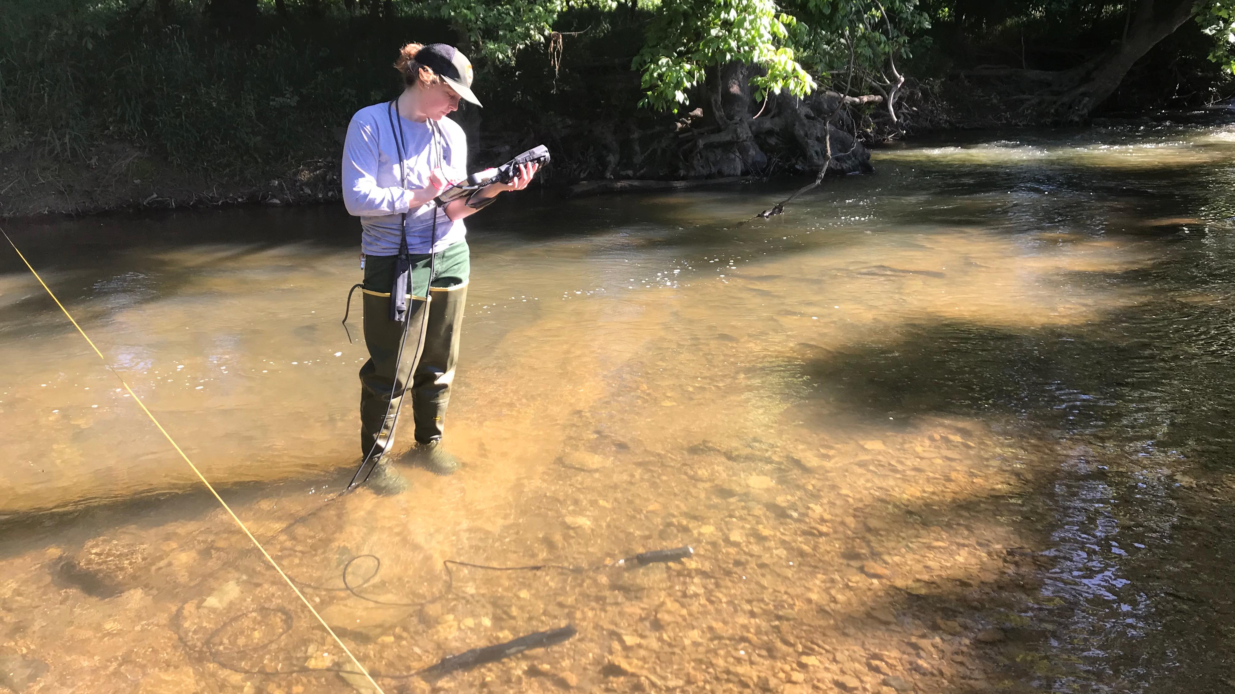 A woman stands in a shallow stream taking water measurements and recording data.