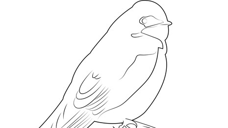 A black and white illustration of a Tree Swallow