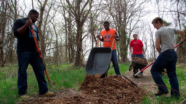 four young men work to mulch a trail