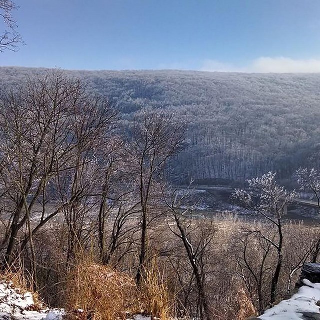 View of a wooded ridge in winter, covered in ice and snow