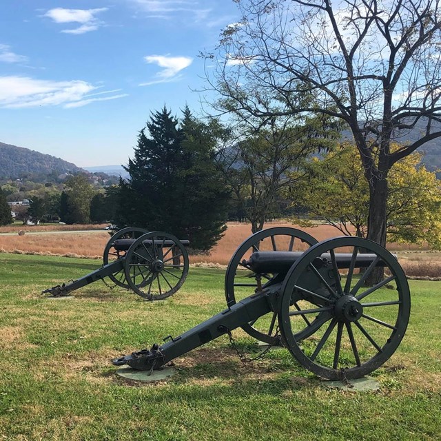 Two cannons rest in a grassy field dotted by trees, with mountains in the distance