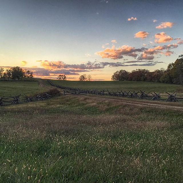 Split rail fencing runs alongside a dirt road through a grassy field