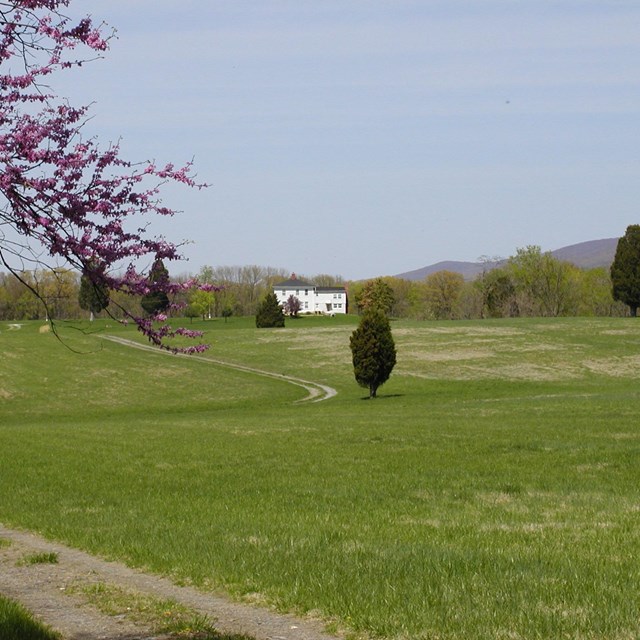 Two story house at the edge of a grassy field, with mountains in the distance