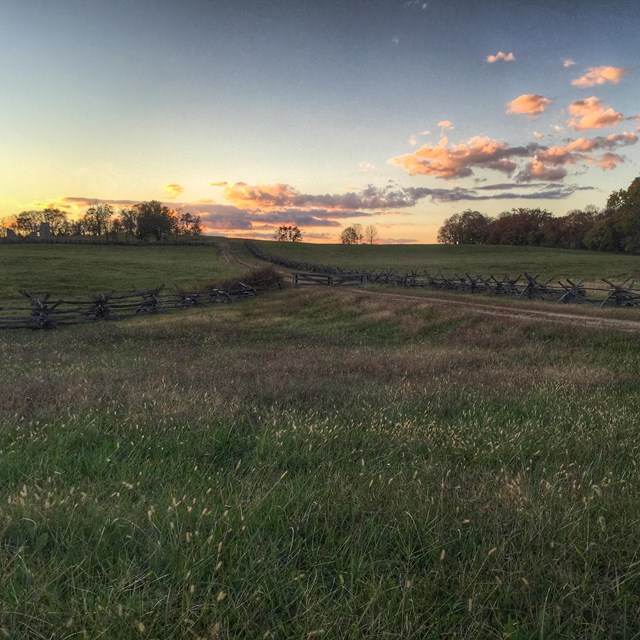 A grassy field flanked by wooden fences