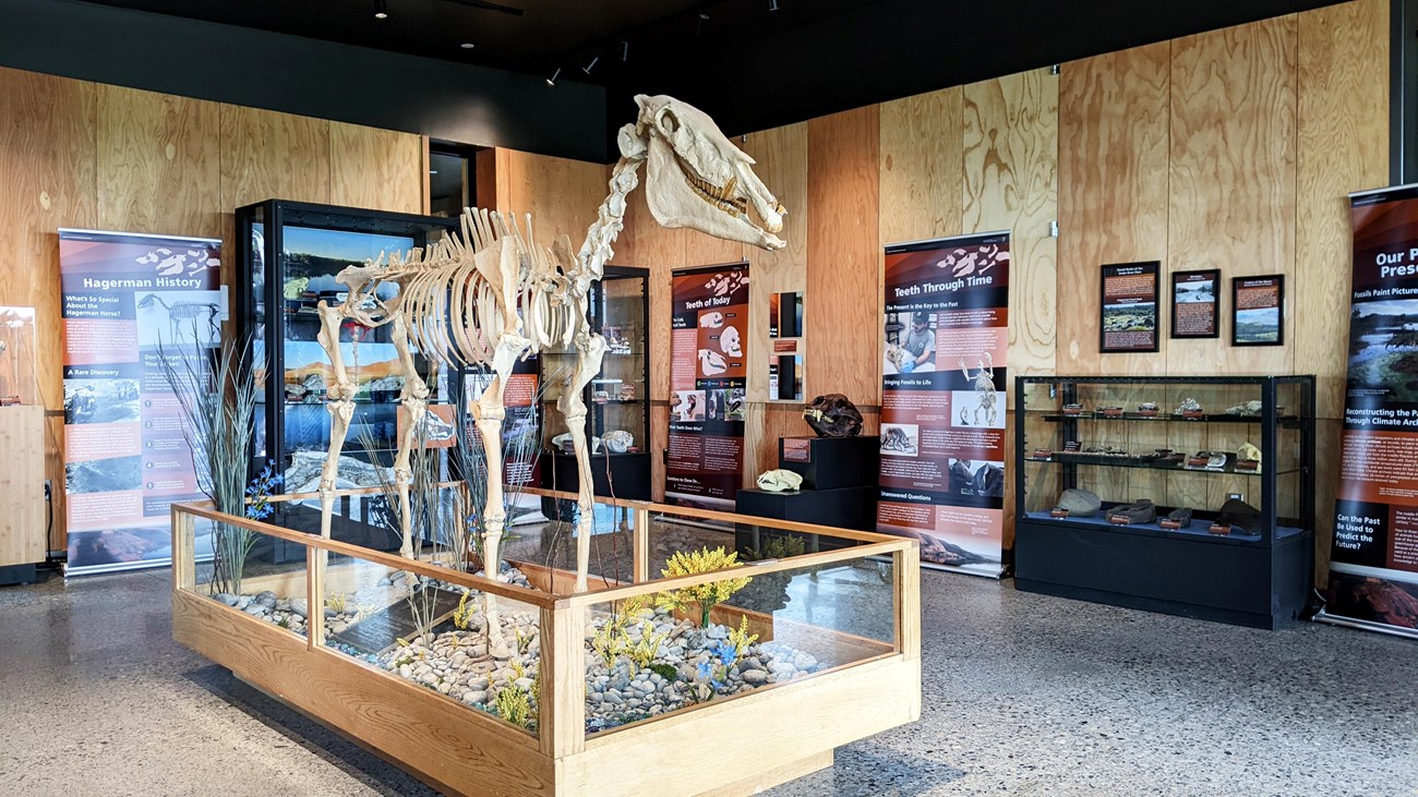 Plan Your Visit - Hagerman Fossil Beds National Monument (. National  Park Service)