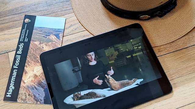 A tablet playing the park film shows a scene with a scientist discussing a horse skull.