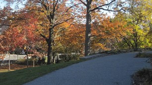 A concrete path bends among fall colored trees.