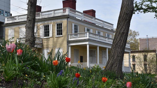 A yellow house is surrounded by tulips and trees.