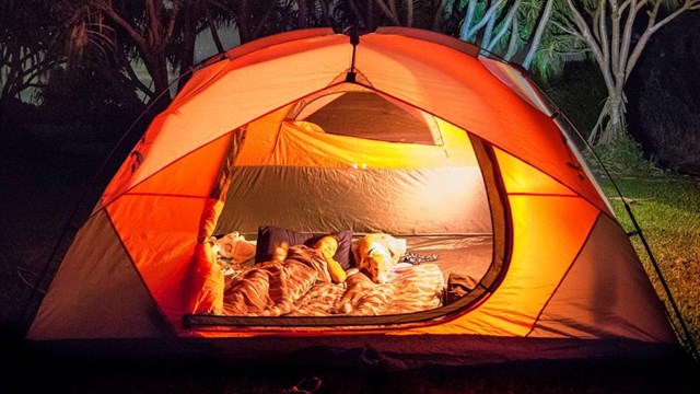 camper illuminated in tent laying down with trees and stars in background