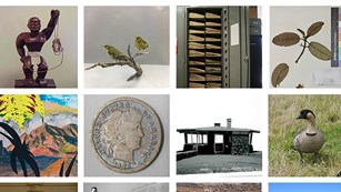 Images of objects from museum collection