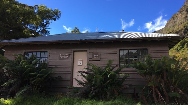 Front of Paliku cabin framed with green ferns