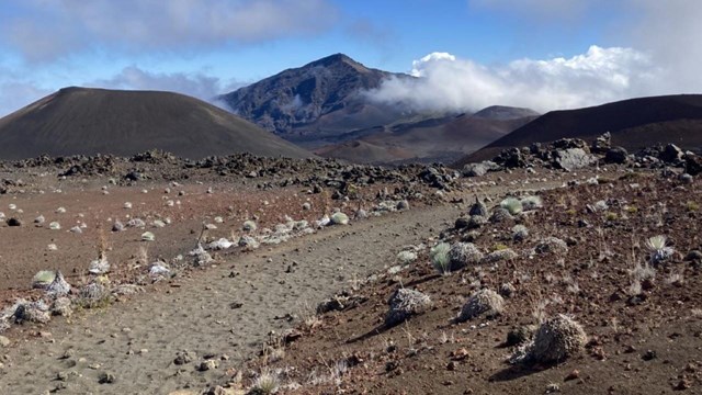 trail with mountains and clouds in background with plants