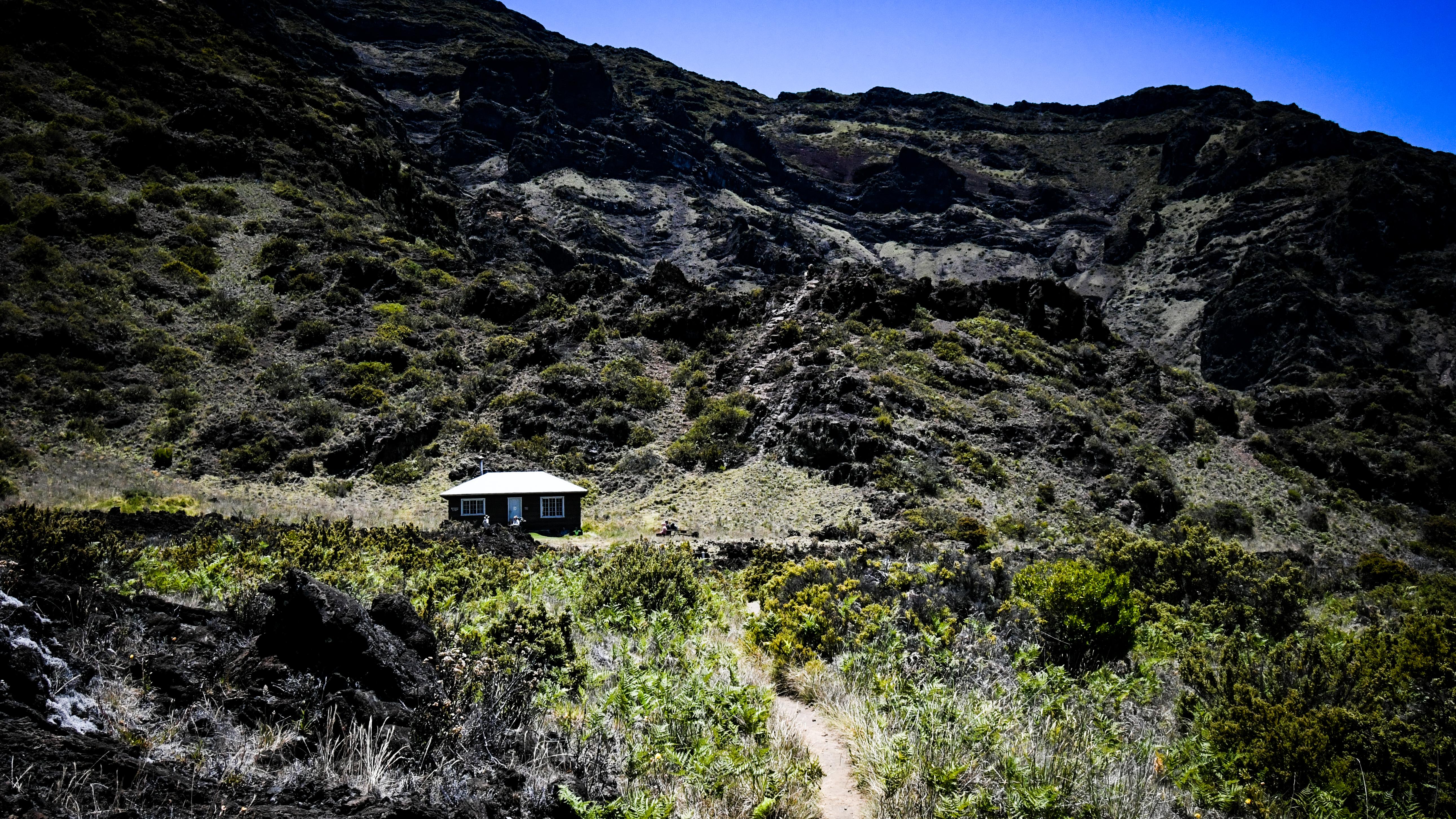 A small brown cabin sits amongst green vegetation under a bright blue sky.