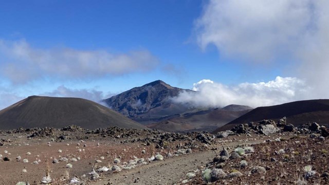 cinder trail with tall plants close and mountains clouds in distance