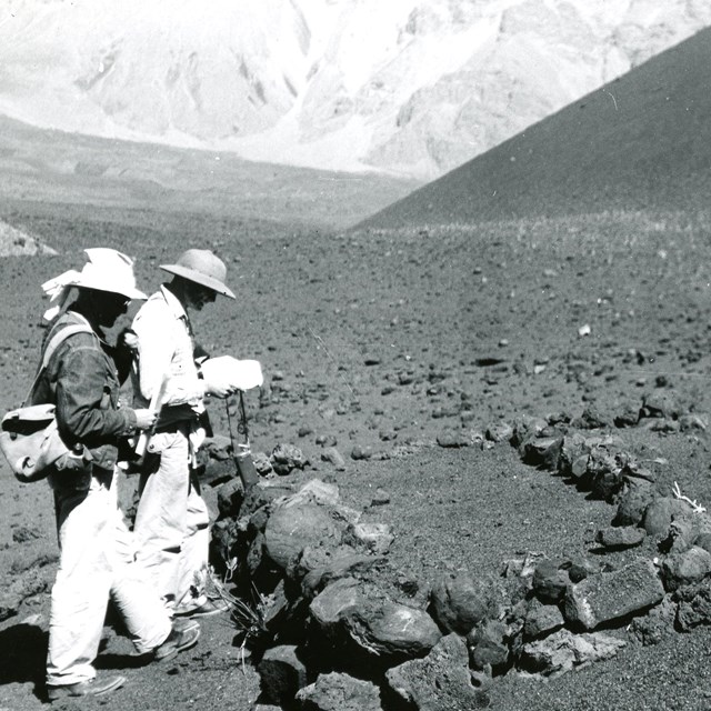 Anthropologists surveying archaeological site. 