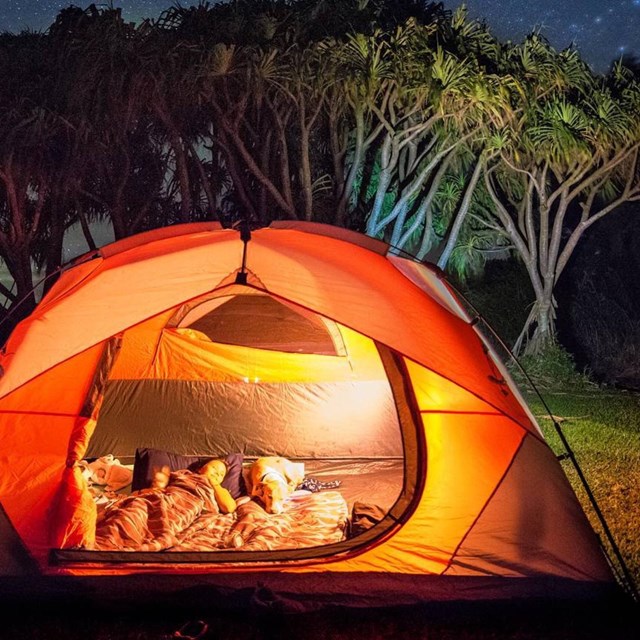 camper illuminated in tent laying down with trees and stars in background