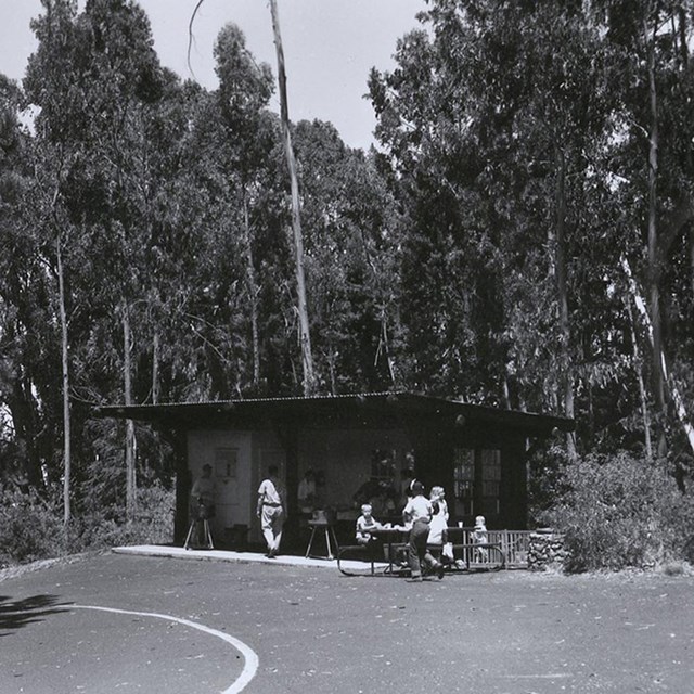 Image of Hosmer Grove Campground Shelter (1962)