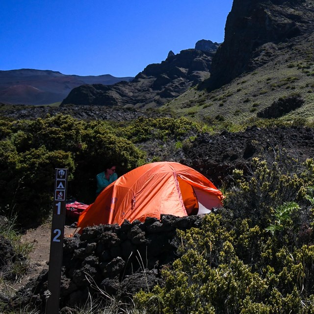 An orange tent sits amongst green vegetation and large rock cliffs.