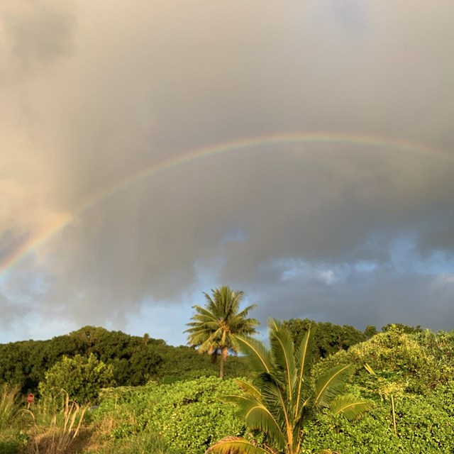A rainbow arcs over a green rainforest
