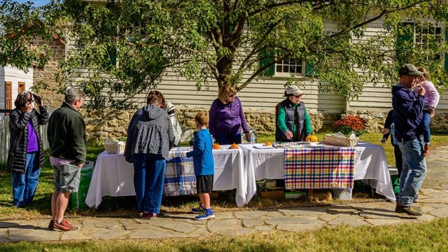 Visitors approaching a table in the park.