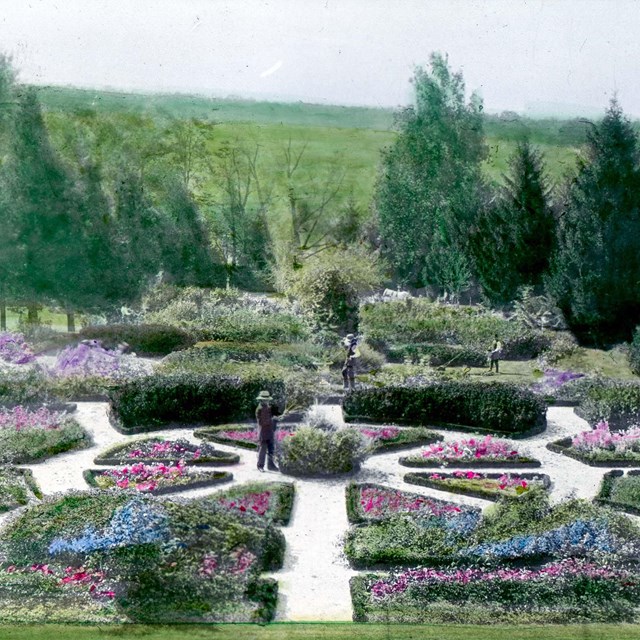 A historic picture of a part of the flower gardens called a parterre. A gardener in the middle. NPS