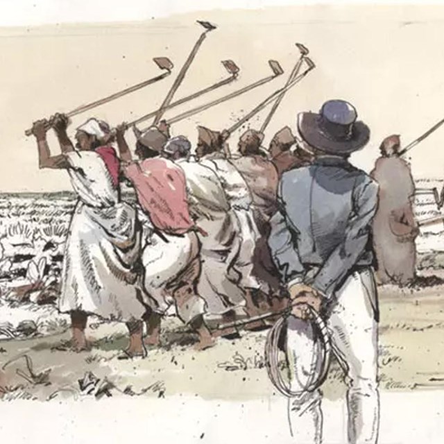 An artist's depiction of an overseer in the fields watching the enslaved. With a whip behind back.