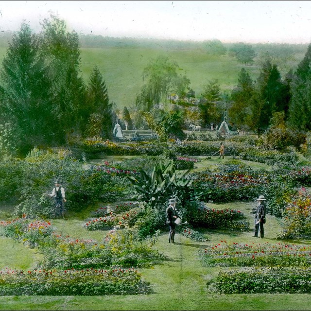 a colored photo of Hampton's gardens