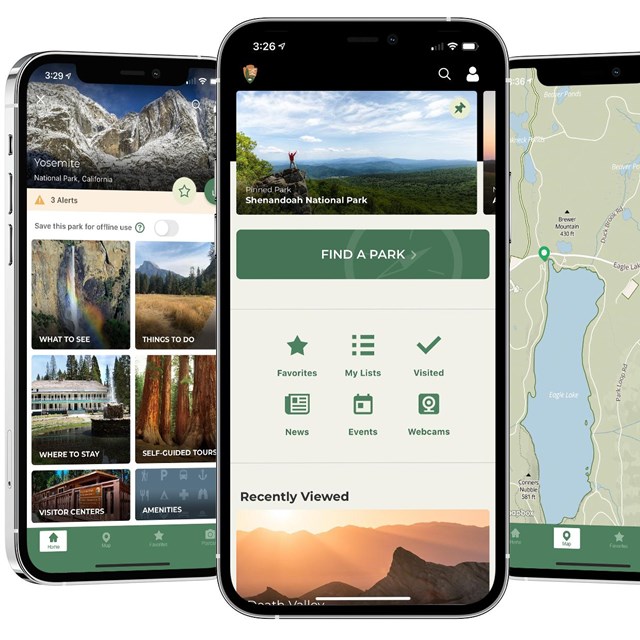 NPS App