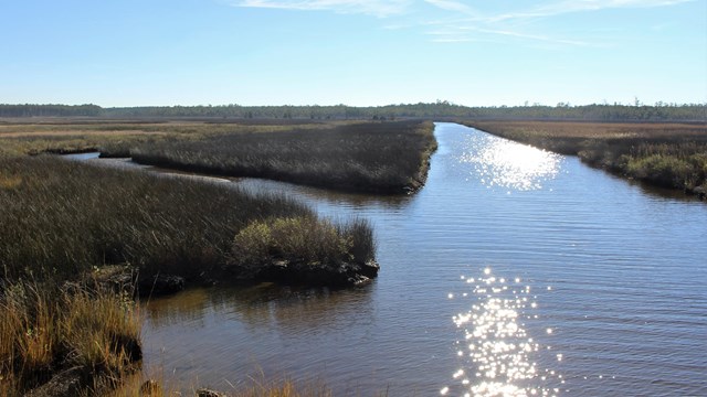 Sun reflecting on Stewart's canal, straight line of water cutting through marsh