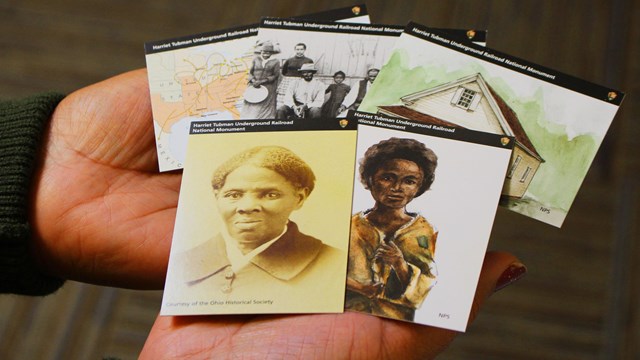 A woman's hands holding five Harriet Tubman collective trading cards