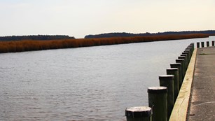 A dock with water and brush to the left