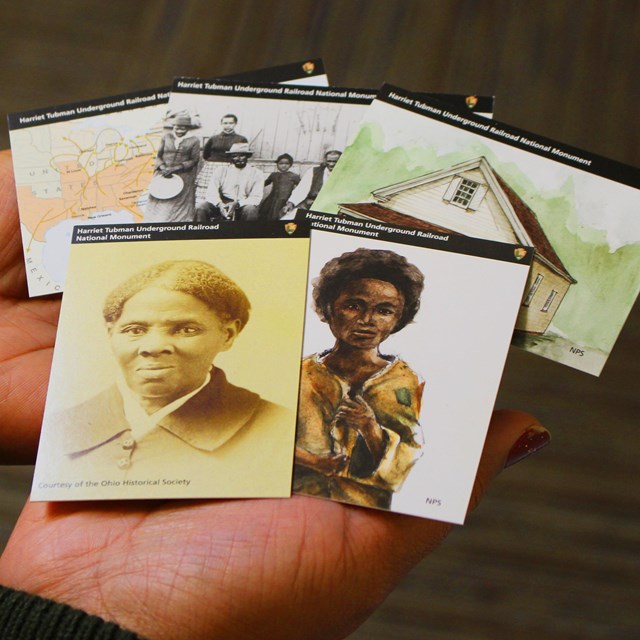 A woman's hands holding five Harriet Tubman collective trading cards