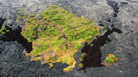 Aerial photograph of a patch of forest surrounded by lava