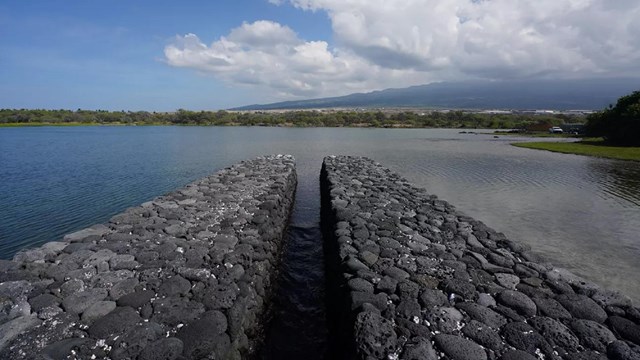 A fishpond wall in the ocean.