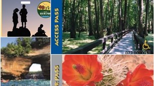 Park passes