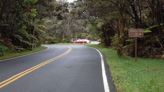 A road through a rainforest