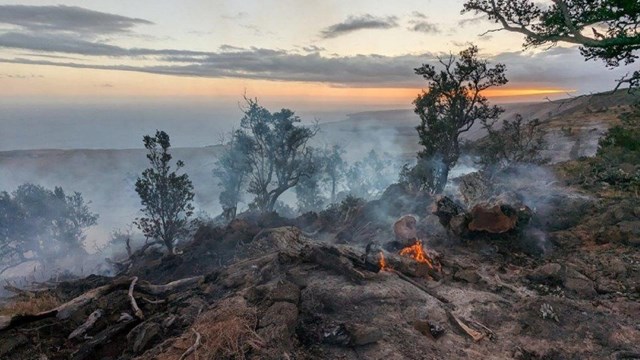 Forest fire on the edge of a cliff.