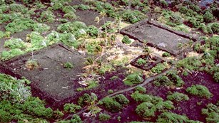 Aerial view of archeological ruins next to a lavafield