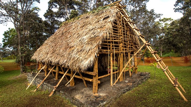 A traditional hawaiian house with a thatched roof