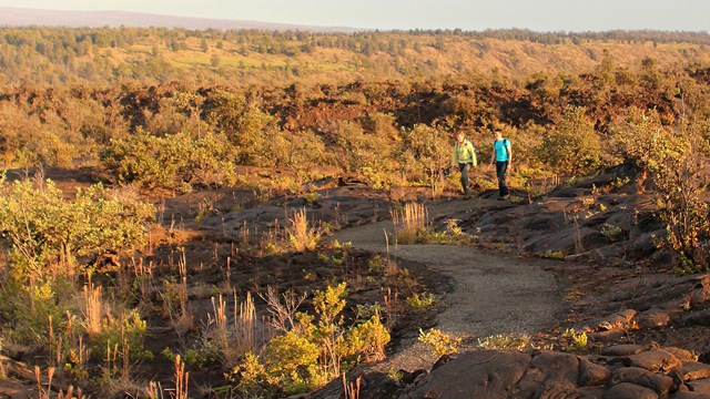 Two people walking on a trail through a lava field