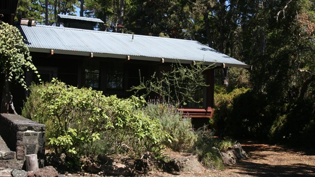 A house surrounded by trees