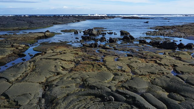 Tide pools on a lava rock shoreline with bright blue ocean beyond