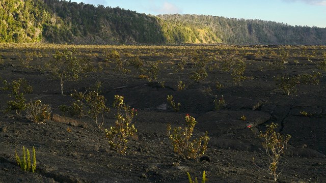 Floor of a volcanic crater at sunset