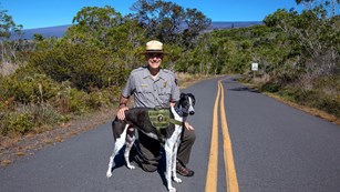 Ranger standing on the road with a "Bark Ranger" dog