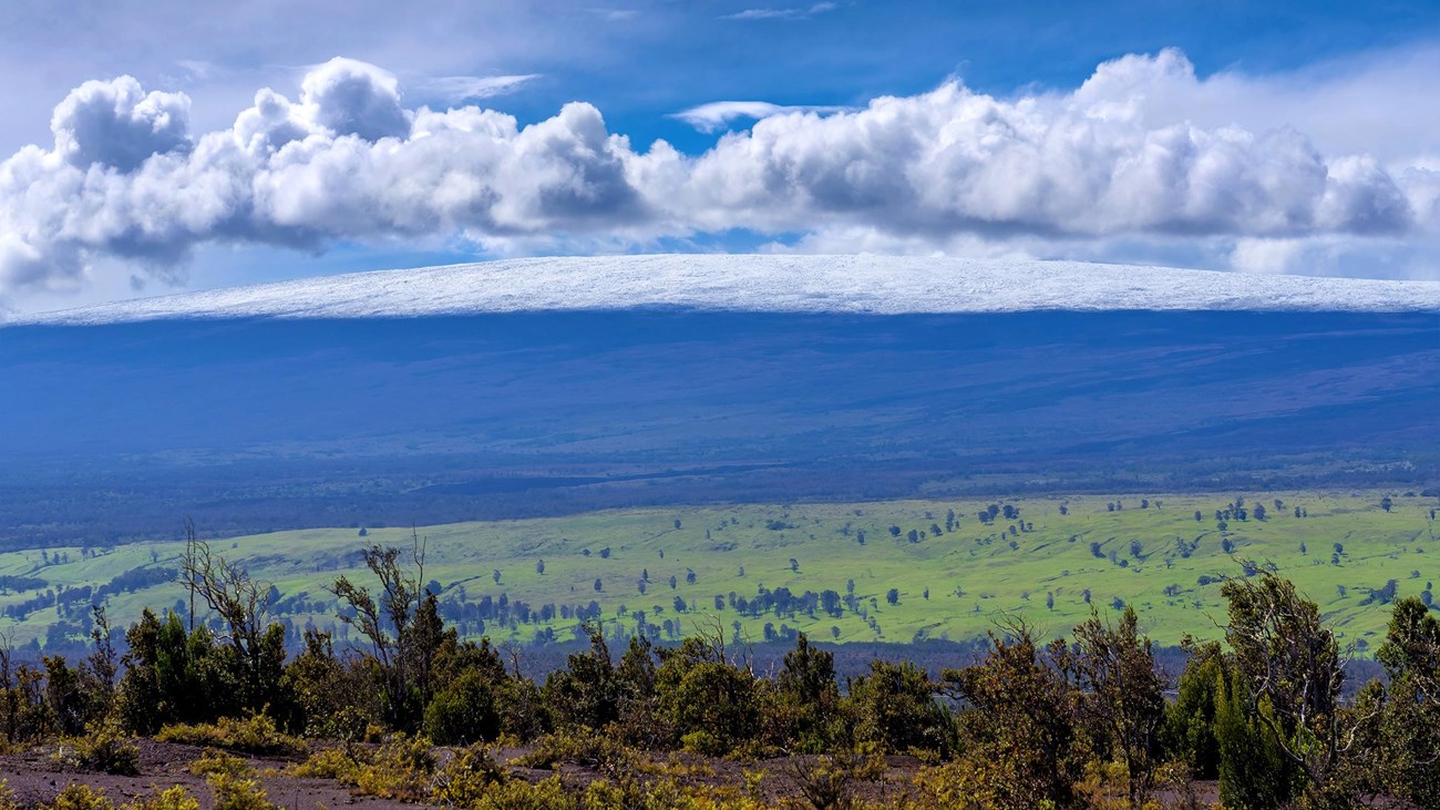 A snow-capped volcano in a distance.