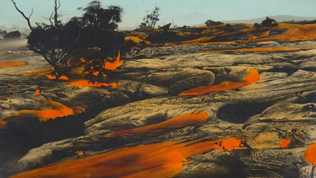 Hand-colored photo of lava moving through a forest landscape