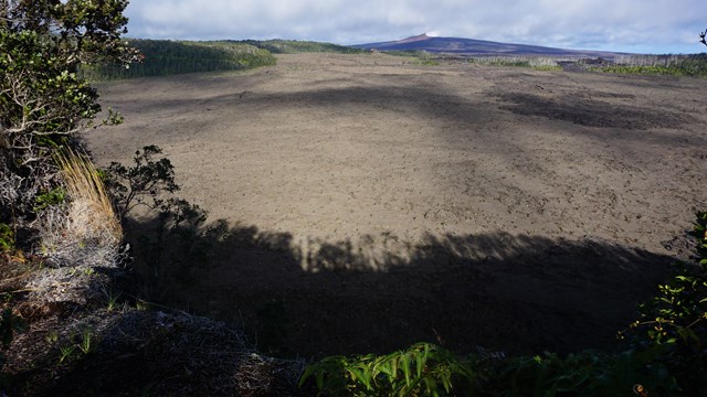 Floor of volcanic crater with forested rim