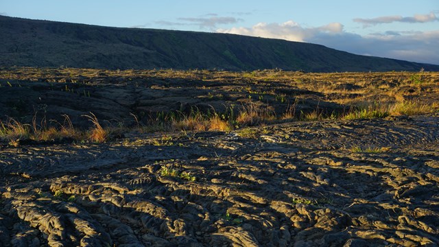 A lava field with cliffs in the background